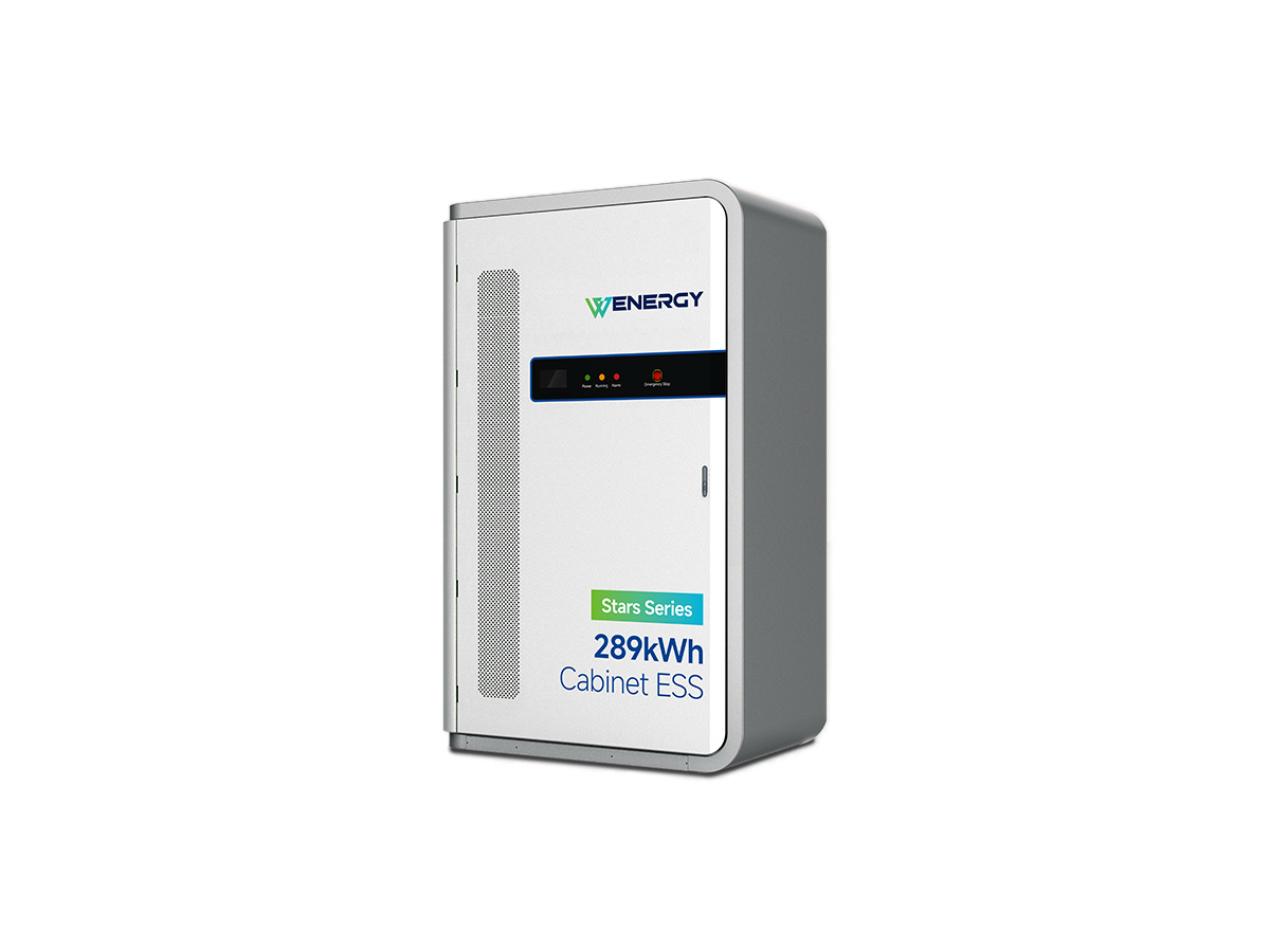 Wenergy Stars CL289Pro Cabinet ESS
